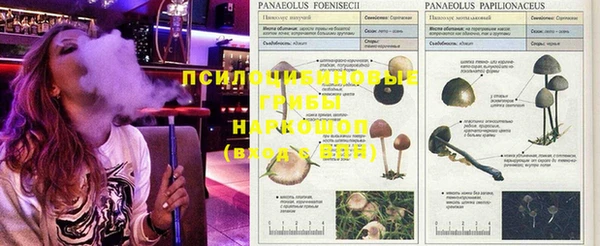 крисы Протвино